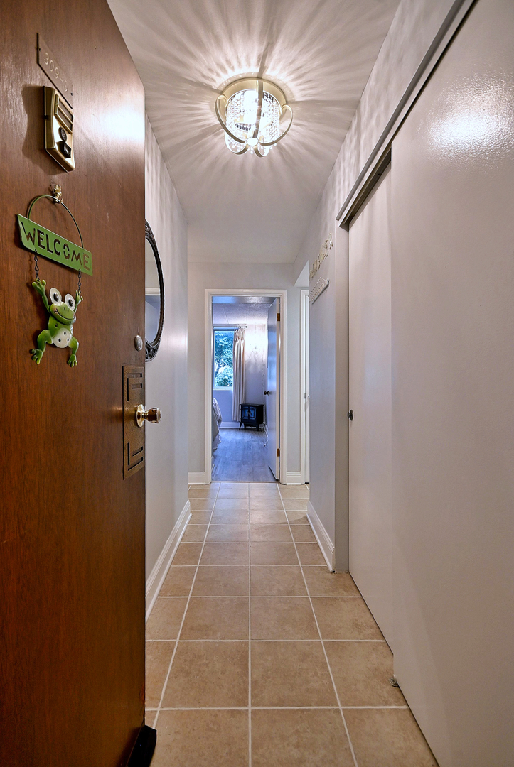 110 West Butterfield Road, Unit 309S Elmhurst, IL 60126 - Photo 14 of 44 Gallery Image 14