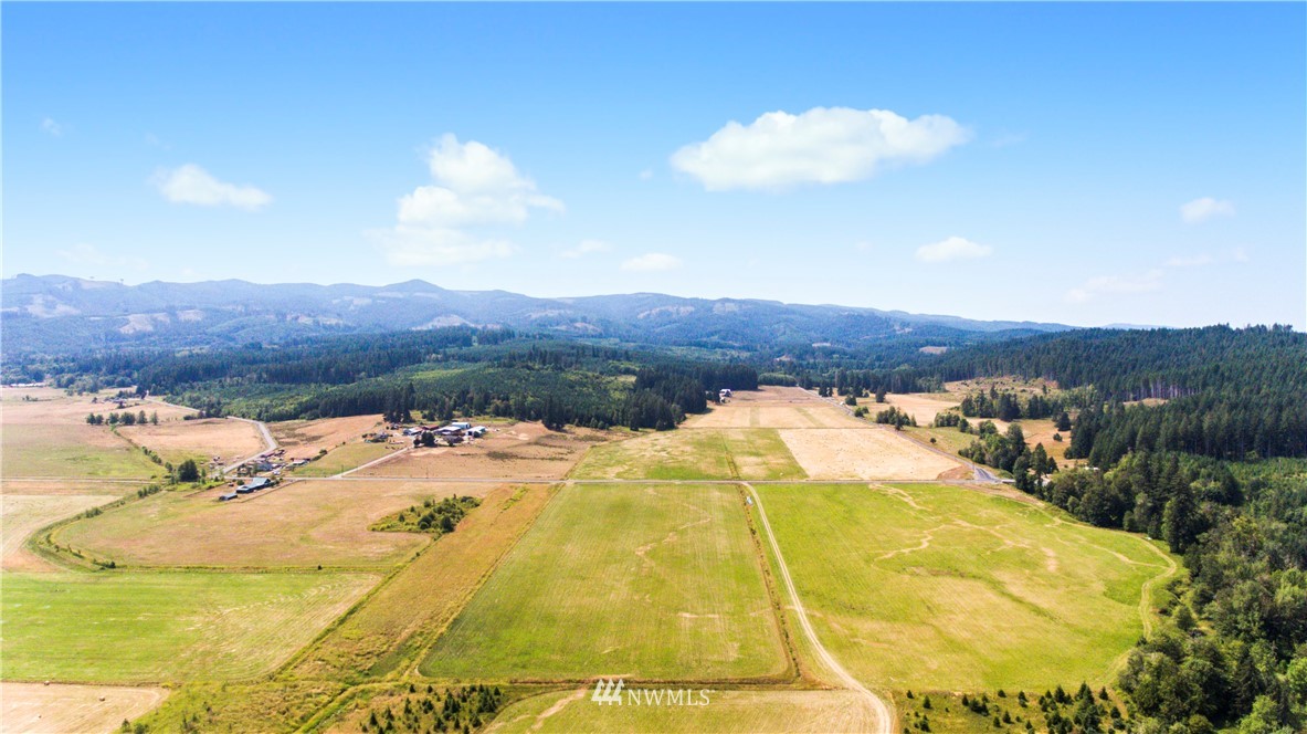 2556 Lincoln Creek Road Rochester, WA 98579 - Photo 1 of 25