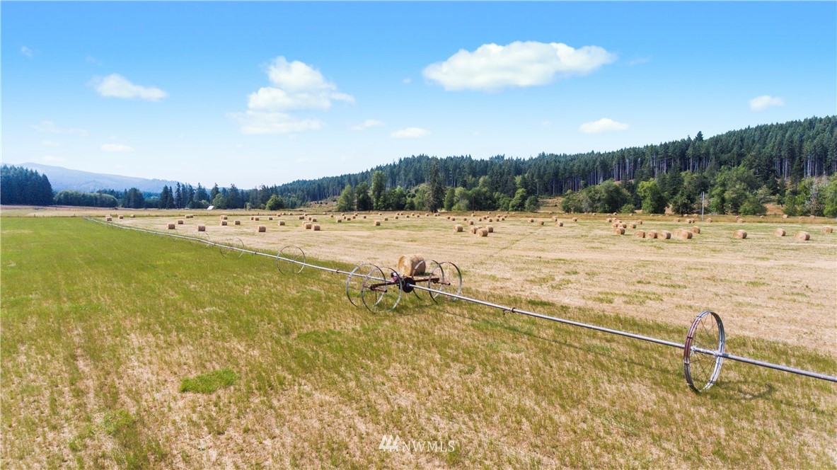 2556 Lincoln Creek Road Rochester, WA 98579 - Photo 17 of 25