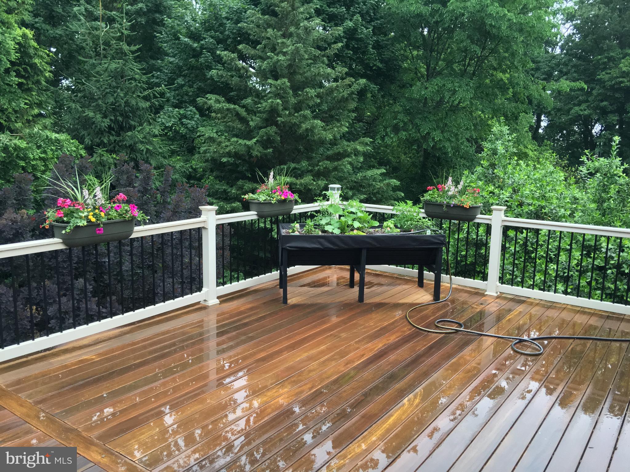 1552 Mt Pleasant Road Villanova, PA 19085 - Photo 47 of 86 Deck off owners suite
