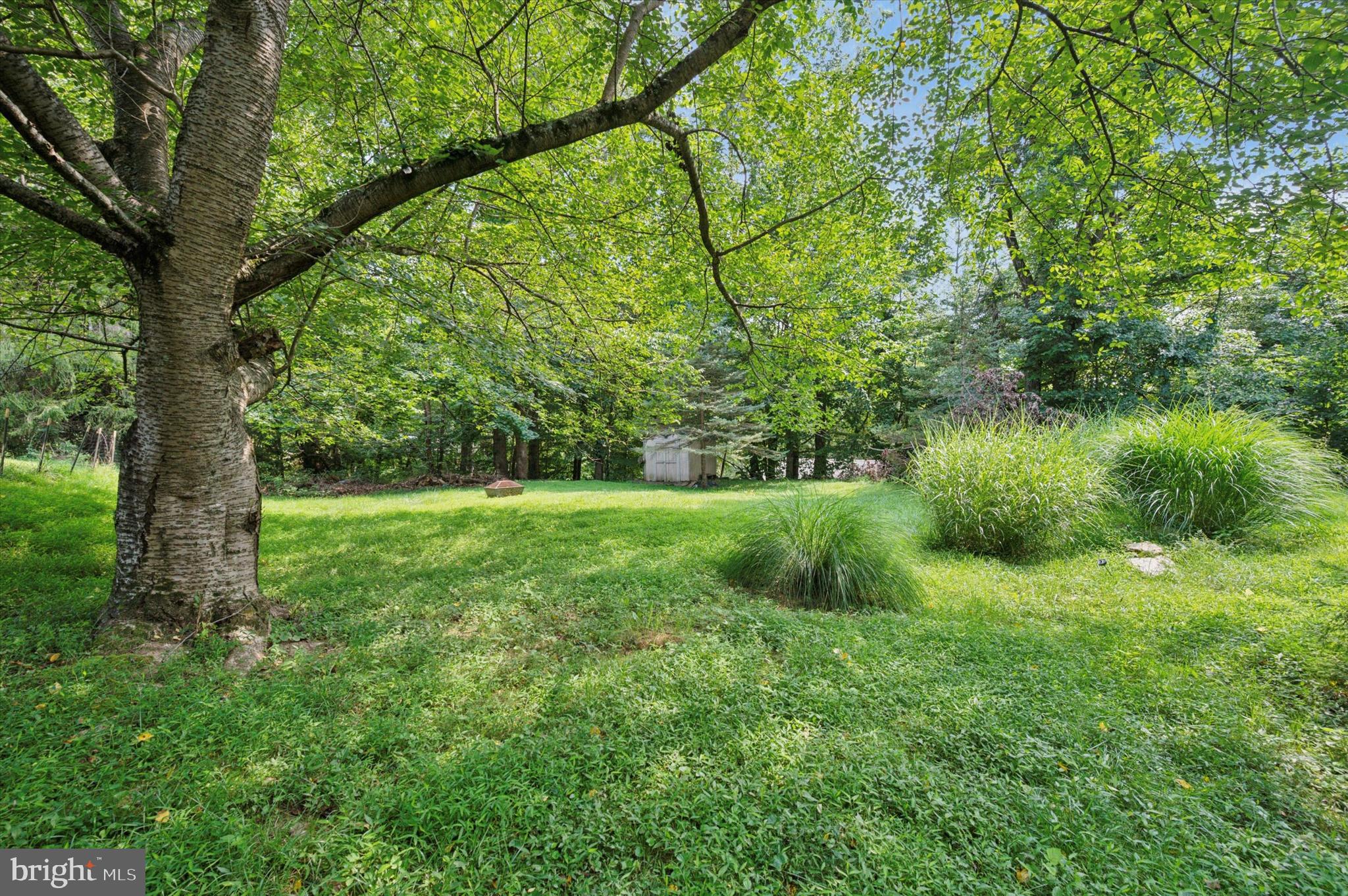 300 West Rose Tree Road Media, PA 19063 - Photo 15 of 16 a view of a garden