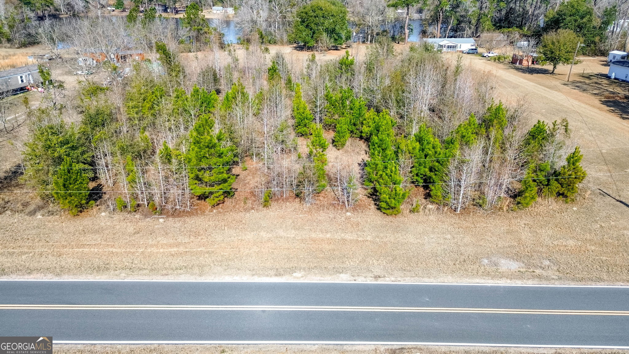 0 Clark Road Guyton, GA 31312 - Photo 11 of 12 a view of a lake view