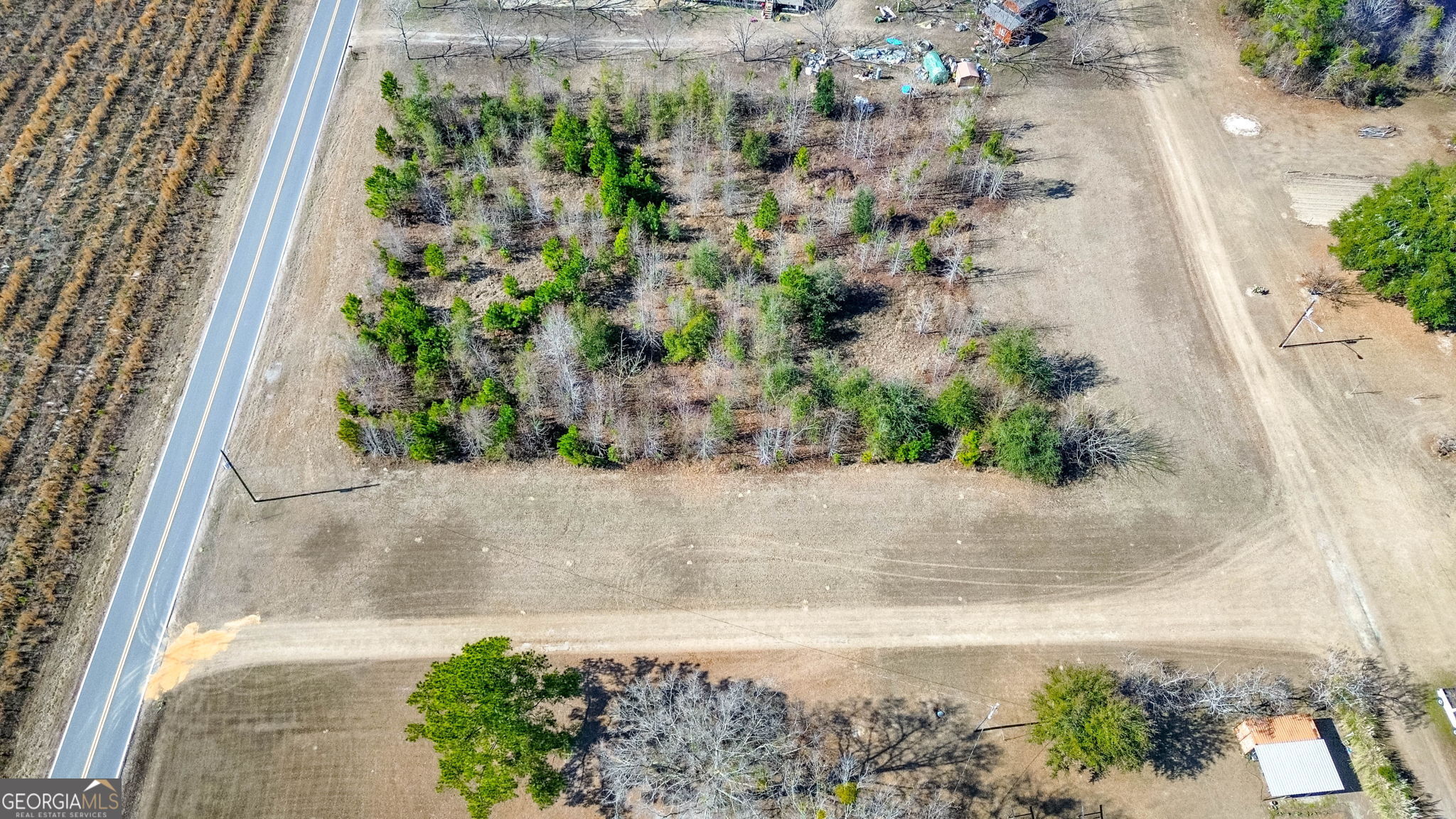 0 Clark Road Guyton, GA 31312 - Photo 3 of 12 a view of a garden with a pathway