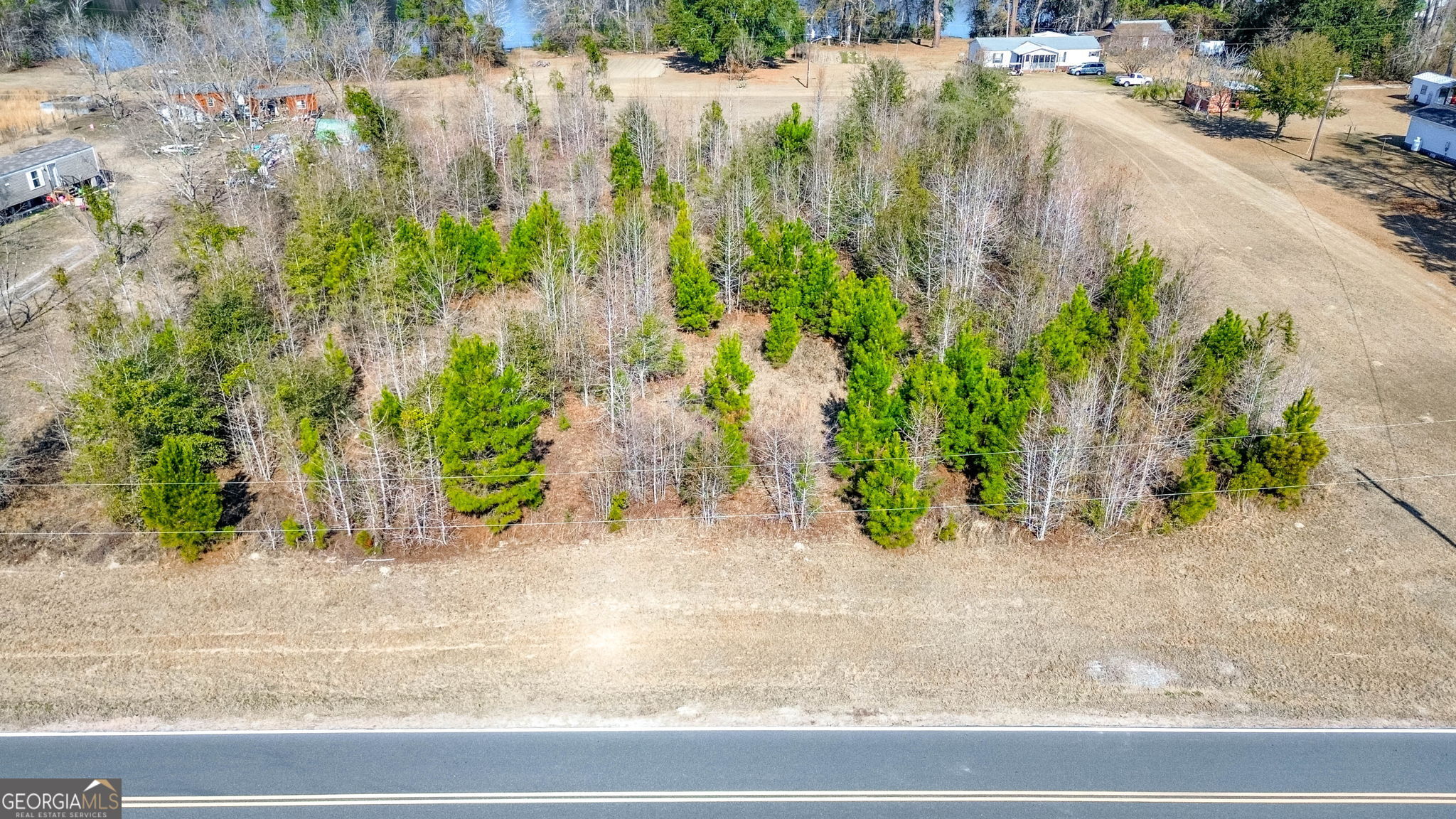 0 Clark Road Guyton, GA 31312 - Photo 10 of 12 a view of a garden