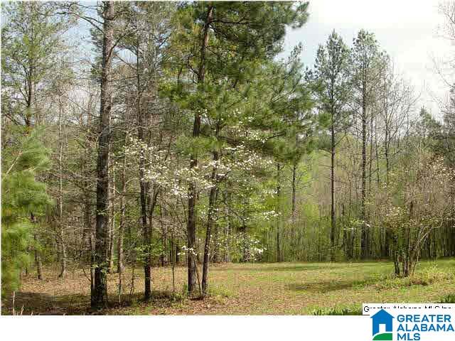 8681 Central Road Warrior, AL 35180 - Photo 3 of 31