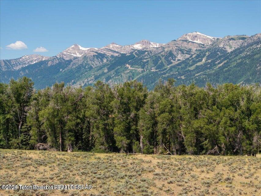 300 Reed Drive Jackson, WY 83001 - Photo 13 of 14 300 pic2