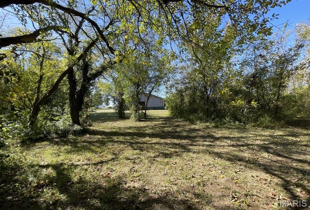 15225 Old State Road Carlyle, IL 62231 - Photo 25 of 28