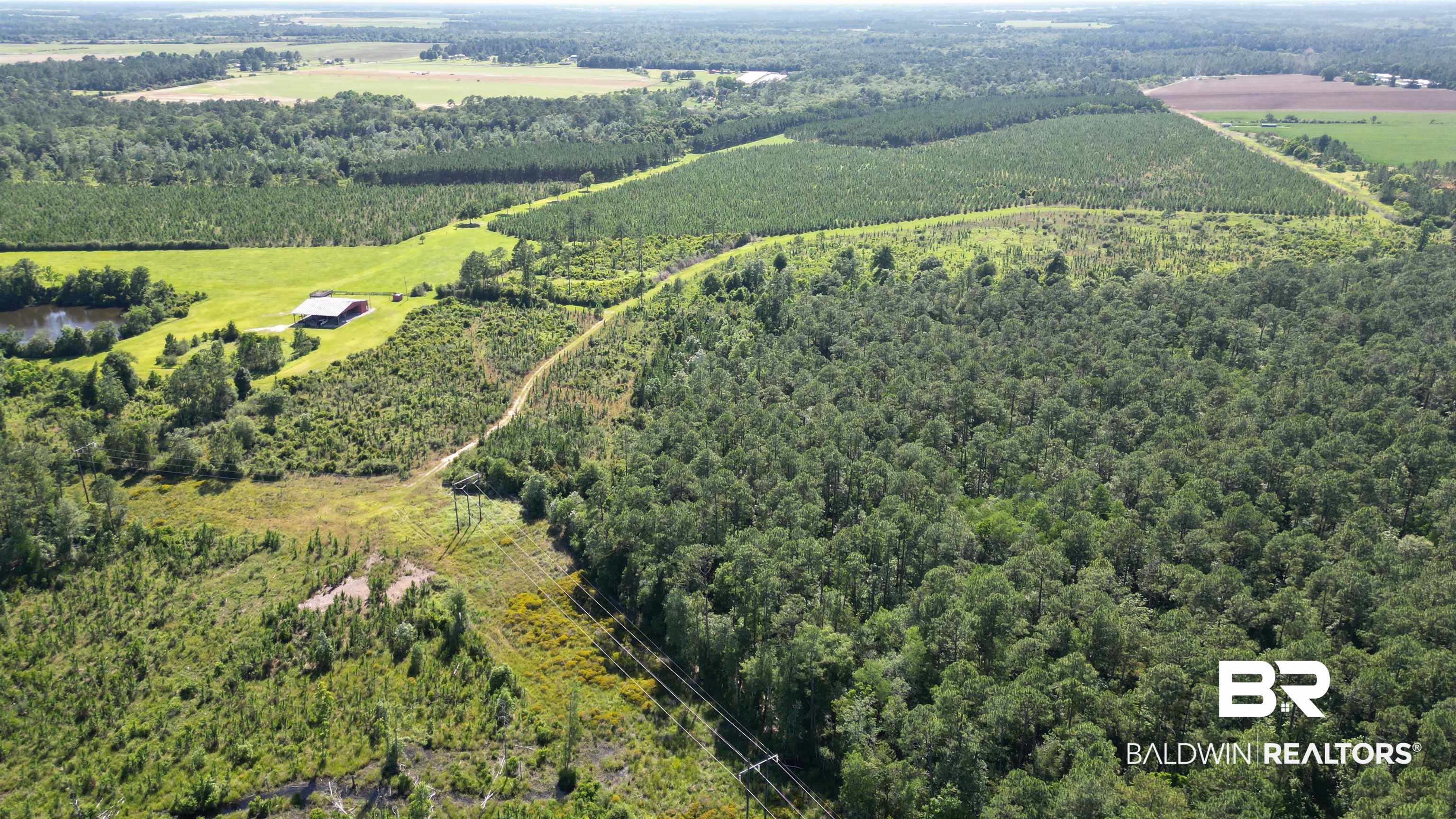 0 County Road 87 Elberta, AL 36530 - Photo 8 of 46