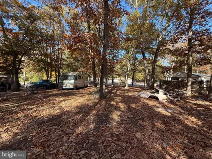 a view of road with trees