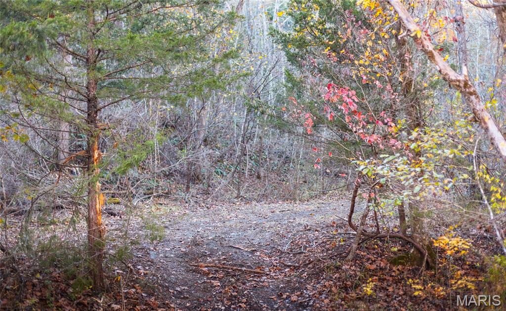 875 Walnut Street Newburg, MO 65550 - Photo 4 of 56