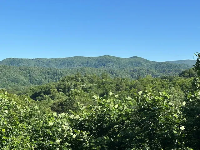 a view of a mountain in the distance in a field