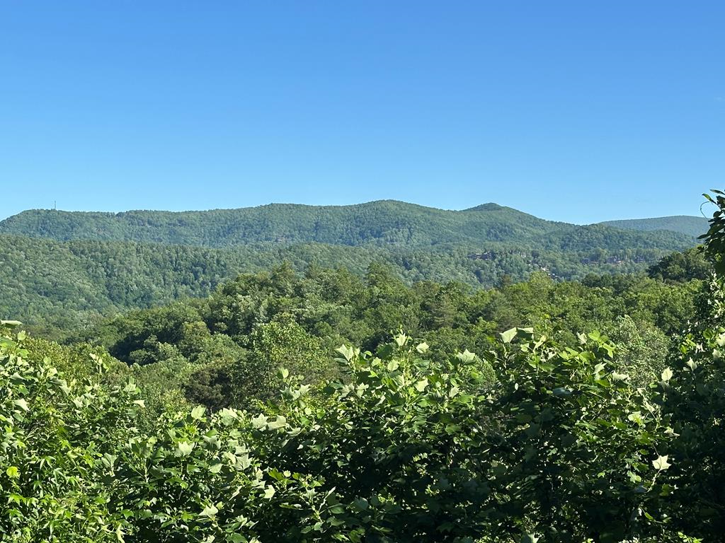 a view of a mountain in the distance in a field