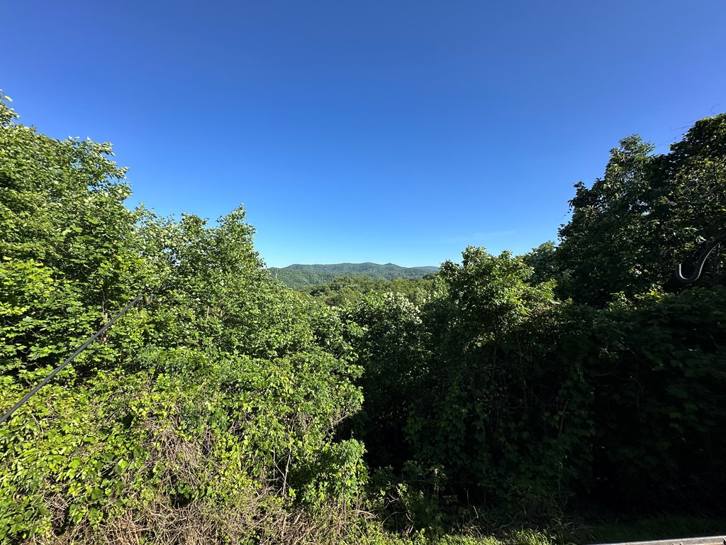 1207 Bullen Gap Road Blue Ridge, GA 30513 - Photo 11 of 37