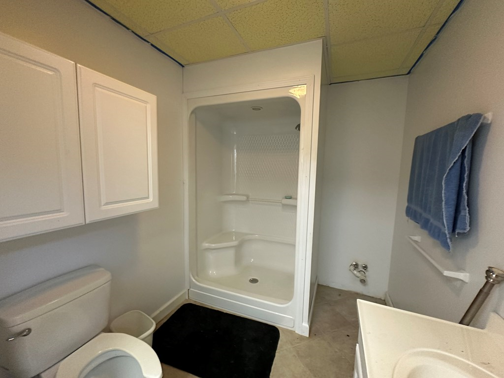 1207 Bullen Gap Road Blue Ridge, GA 30513 - Photo 31 of 37 a bathroom with a toilet shower and vanity