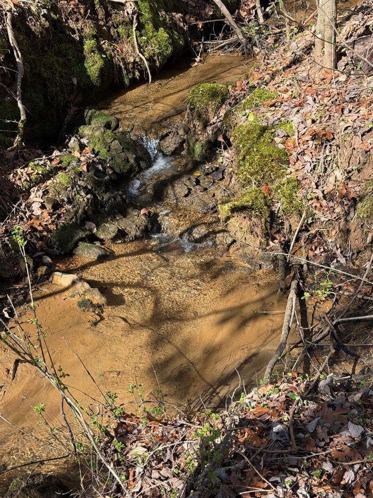 1207 Bullen Gap Road Blue Ridge, GA 30513 - Photo 38 of 39