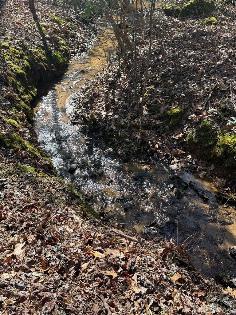 1207 Bullen Gap Road Blue Ridge, GA 30513 - Photo 39 of 39