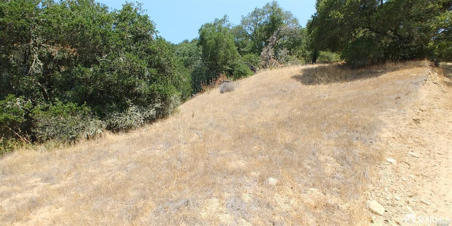 1 Poli Road Gilroy, CA 95020 - Photo 10 of 13 Gallery Image 10