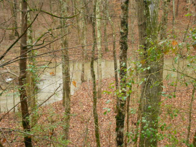 7593 Hwy 11-w Rutledge Tn 37861 Rutledge, TN 37861 - Photo 21 of 22 DSCN1204