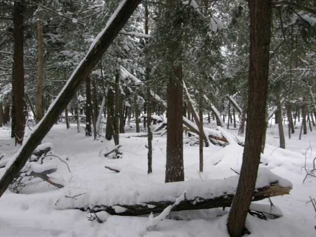 Primary Photo