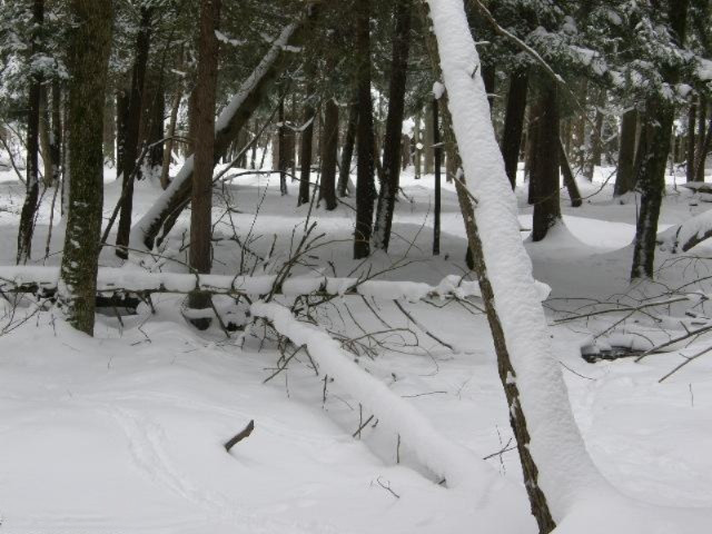 Sanocki Road Manistee, MI 49660 - Photo 14 of 15 Additional Photo