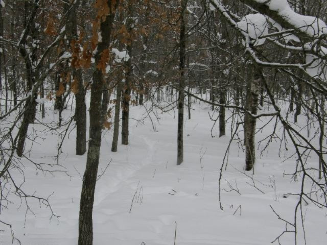 Sanocki Road Manistee, MI 49660 - Photo 8 of 15 Additional Photo