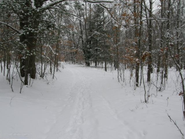 Sanocki Road Manistee, MI 49660 - Photo 9 of 15 Additional Photo