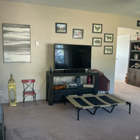98 Main Street Manila, UT 84046 - Photo 10 of 36 Neutral-toned walls complement the beige carpeting in this interior space