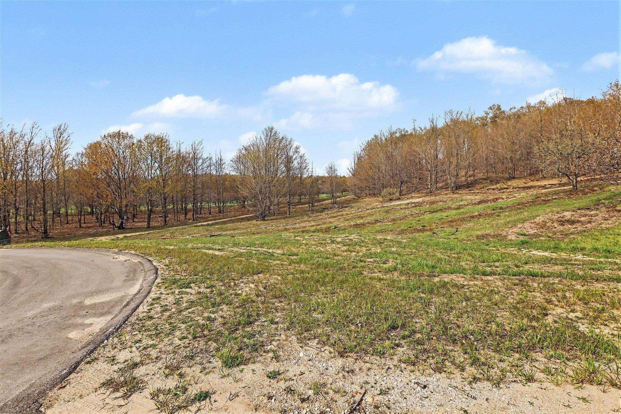 Parcel 9 Karnes Road Empire, MI 49636 - Photo 4 of 8