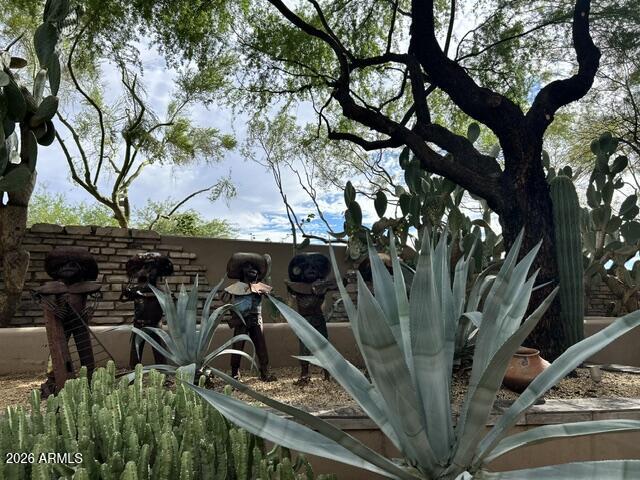 38601 North Rising Sun Road Carefree, AZ 85377 - Photo 34 of 35 Backyard Landscaping