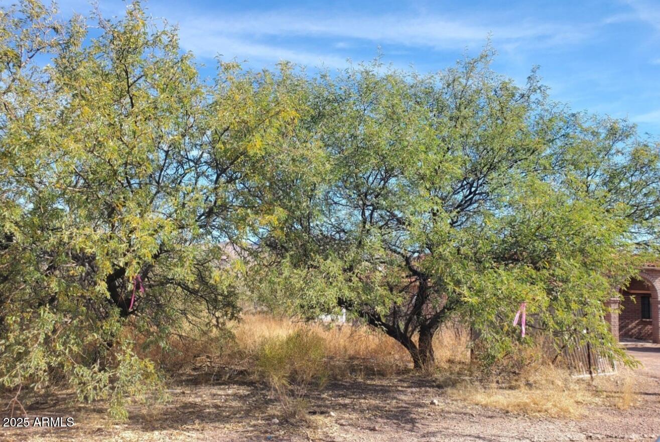 a view of a city with lush green forest