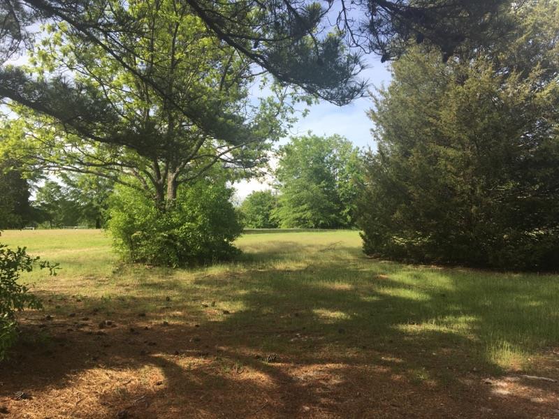 2024 Murdock Road Belton, SC 29627 - Photo 14 of 17