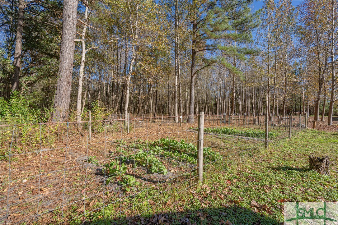 2814 Old Dixie Highway Springfield, GA 31329 - Photo 37 of 43