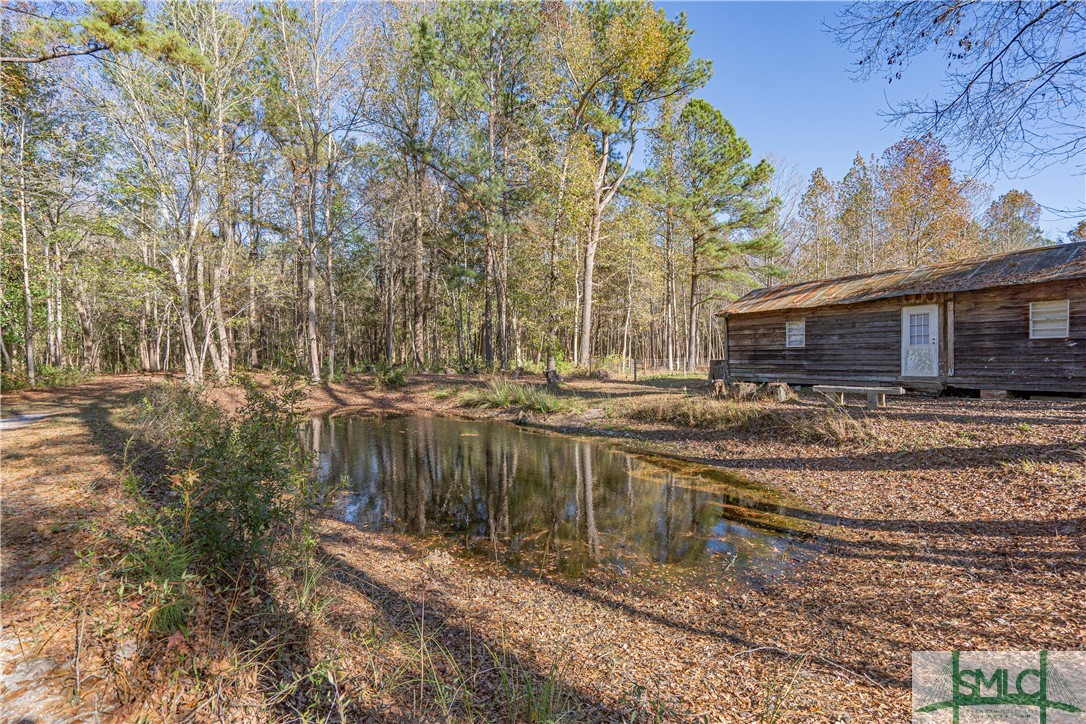 2814 Old Dixie Highway Springfield, GA 31329 - Photo 40 of 43