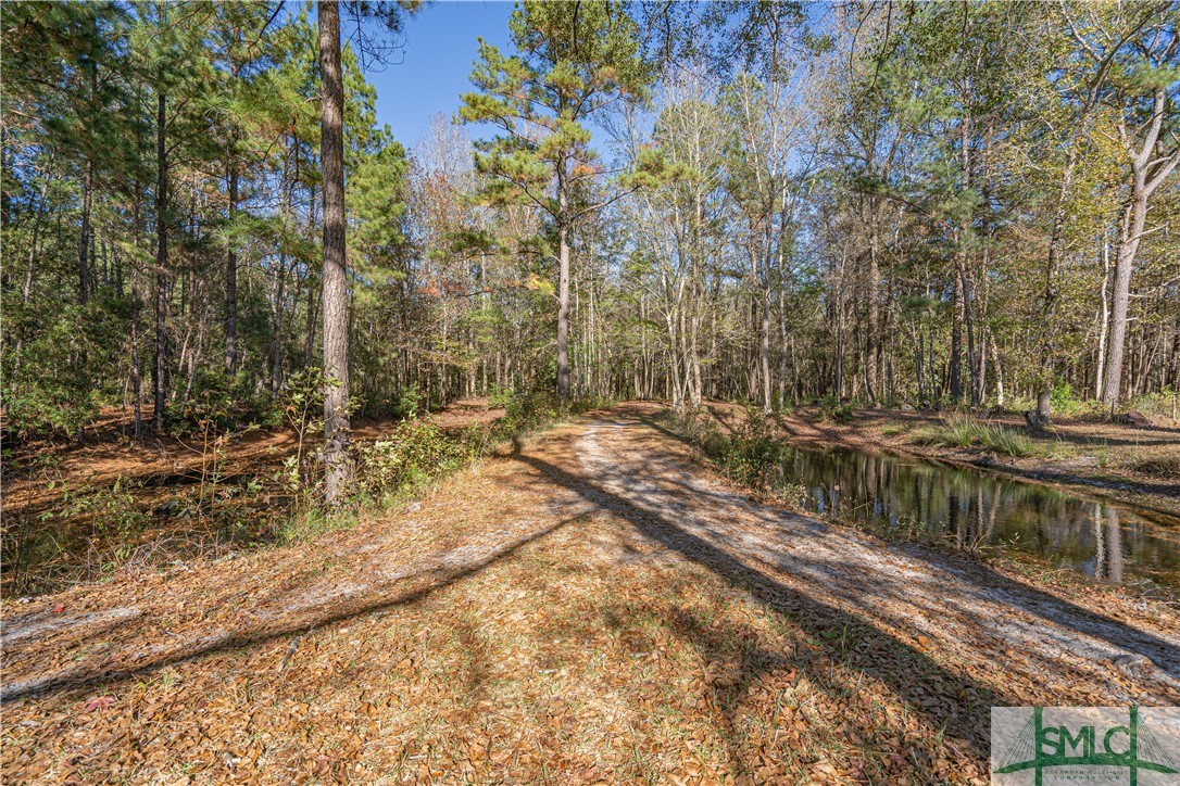 2814 Old Dixie Highway Springfield, GA 31329 - Photo 42 of 43