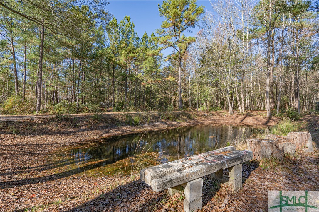 2814 Old Dixie Highway Springfield, GA 31329 - Photo 43 of 43