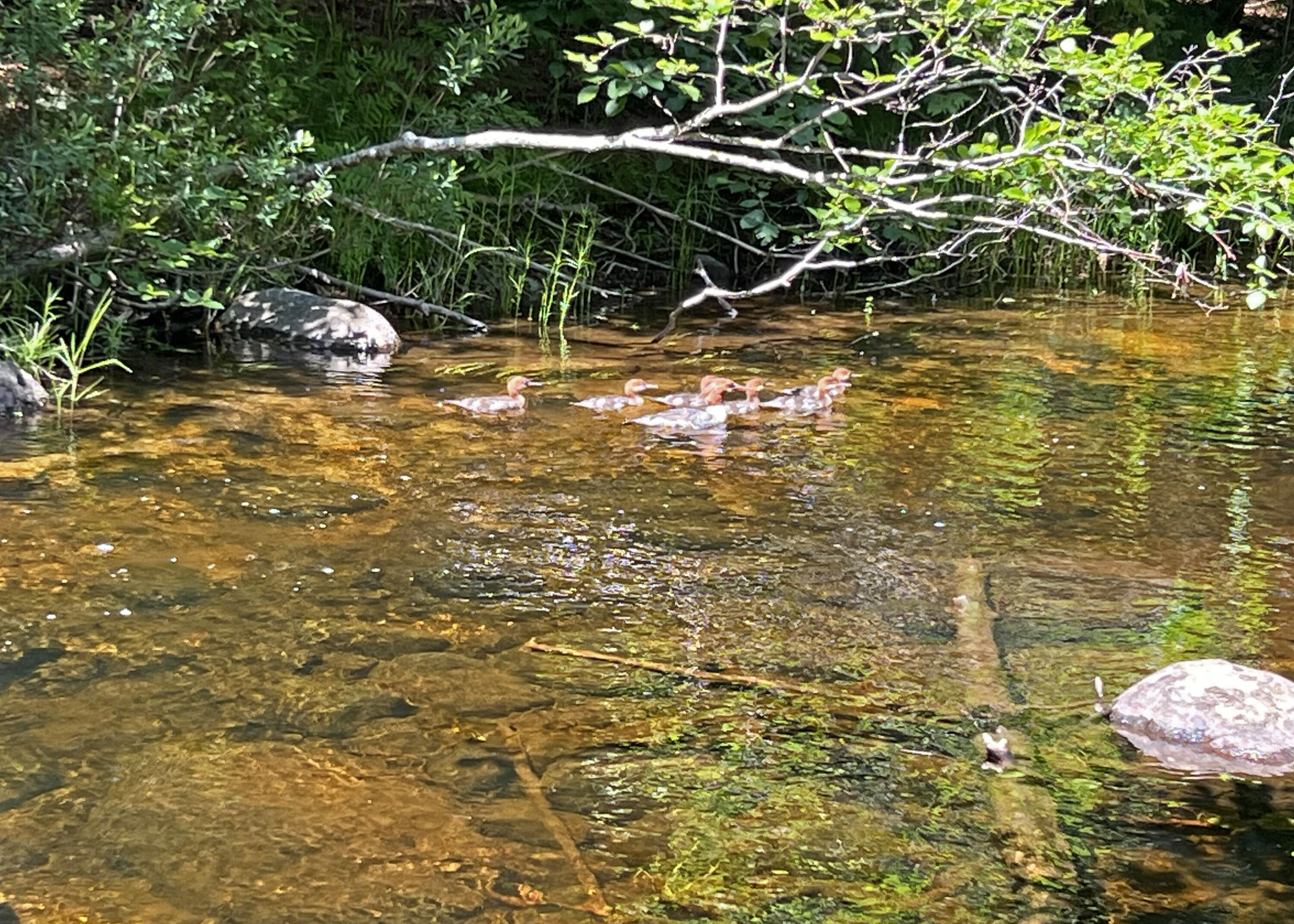 980 Otis Road Ellsworth, ME 04605 - Photo 10 of 30 1i