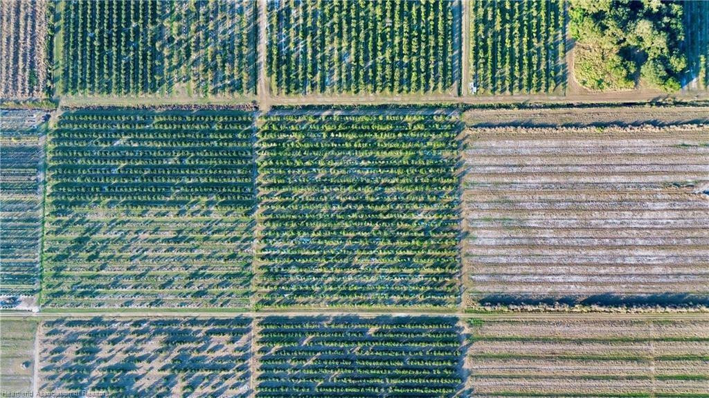 1050 Arbuckle Creek Road Lorida, FL 33857 - Photo 5 of 6 Photo 5