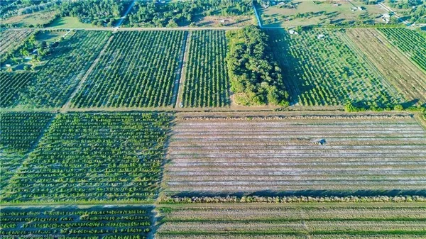 $160,000 | 1050 Arbuckle Creek Road, Lorida, FL 33857