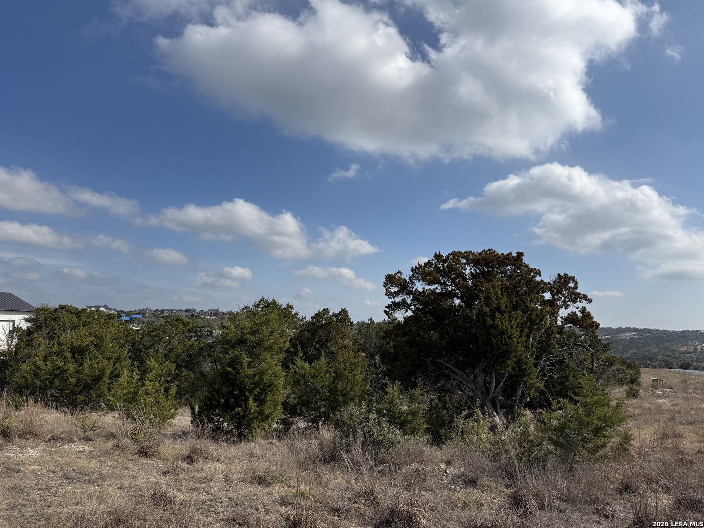 0 Tbd Labrusca New Braunfels, TX 78132 - Photo 11 of 23 a view of a bunch of trees in a field