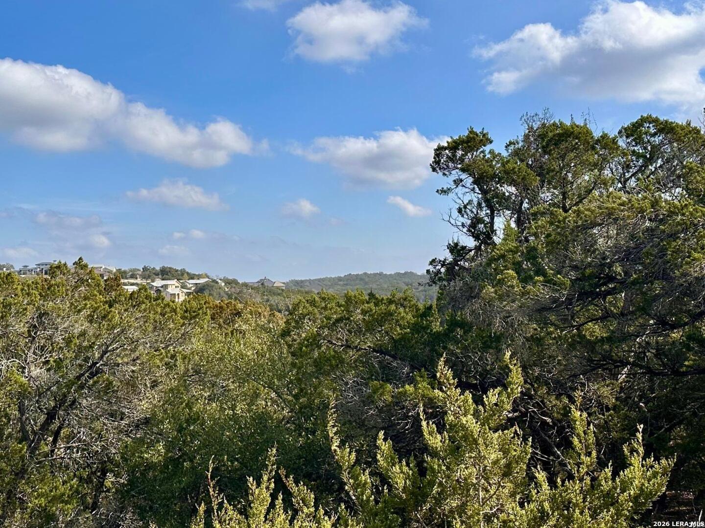 0 Tbd Labrusca New Braunfels, TX 78132 - Photo 2 of 23 a view of a bunch of trees and a building