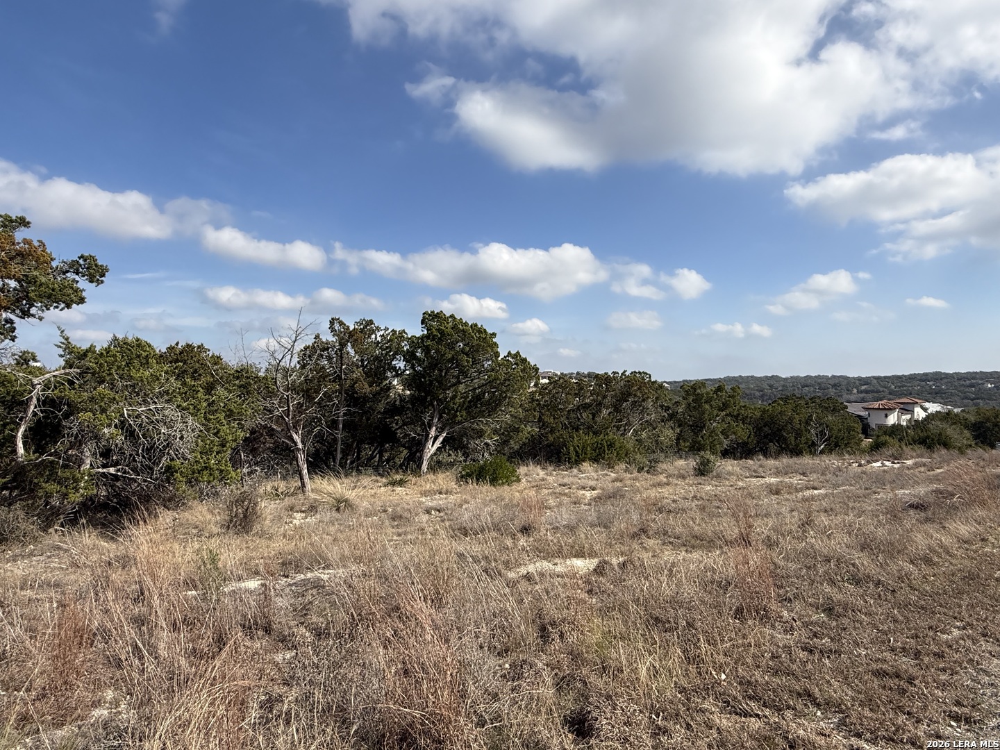 0 Tbd Labrusca New Braunfels, TX 78132 - Photo 6 of 23 a view of a dry yard