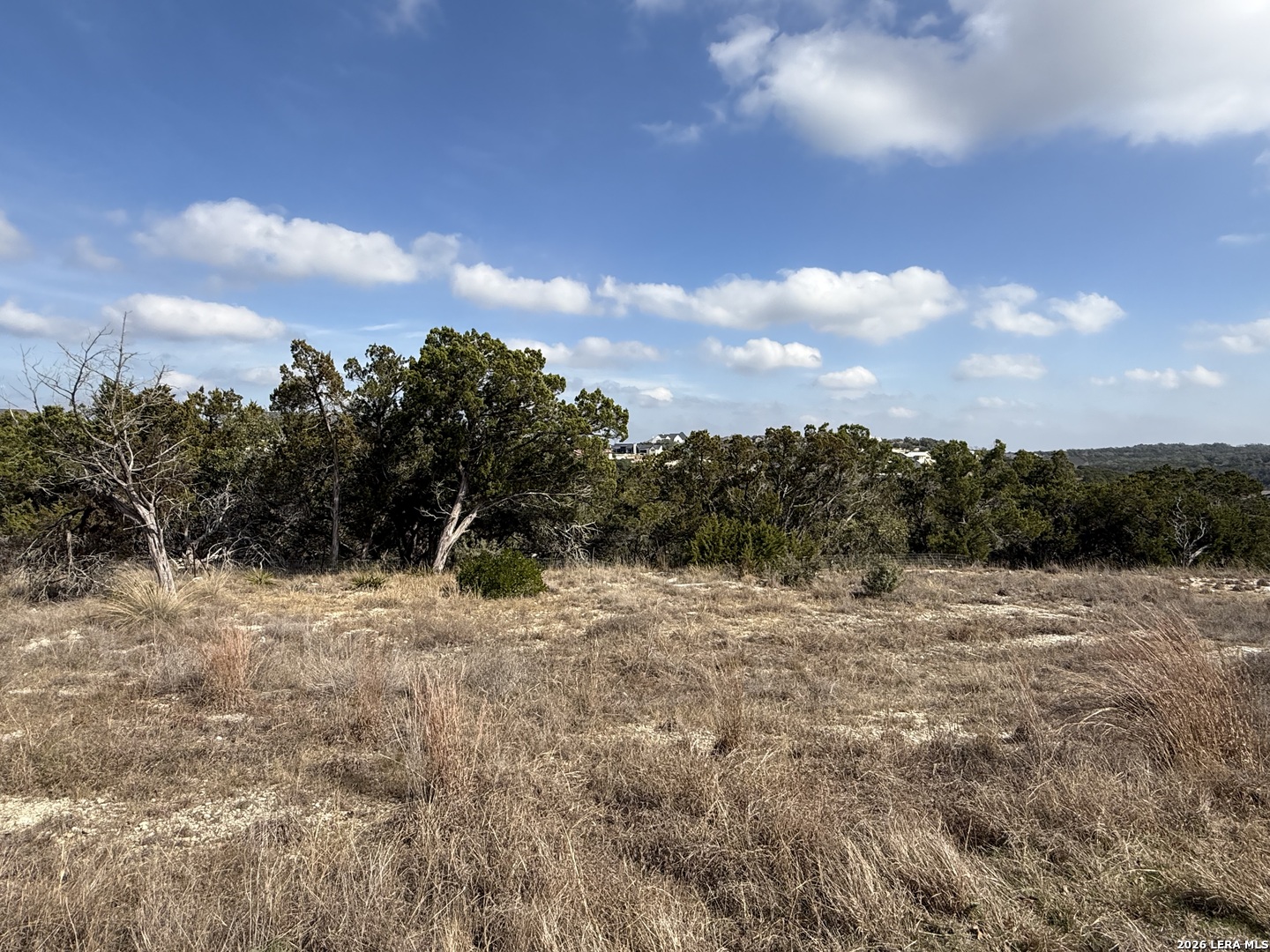 0 Tbd Labrusca New Braunfels, TX 78132 - Photo 7 of 23 a view of a dry yard