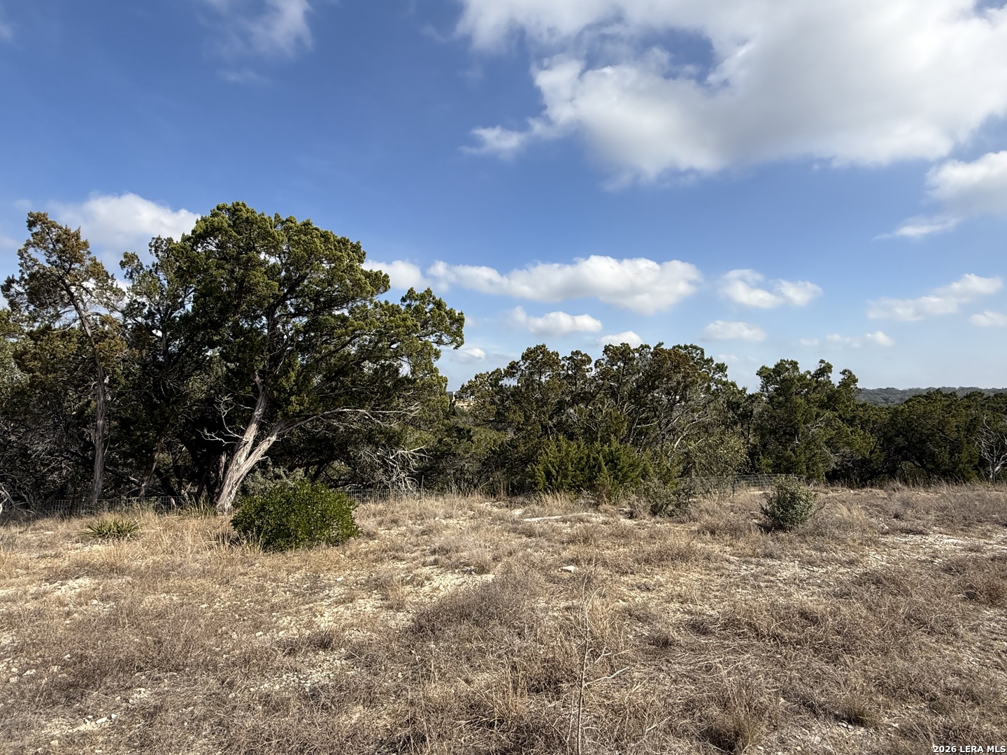 0 Tbd Labrusca New Braunfels, TX 78132 - Photo 8 of 23 a view of a field