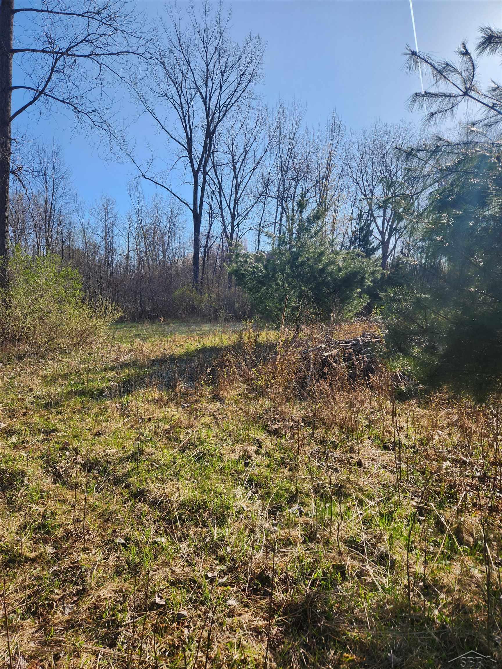 2283 River V/l Road Beaverton, MI 48612 - Photo 4 of 5