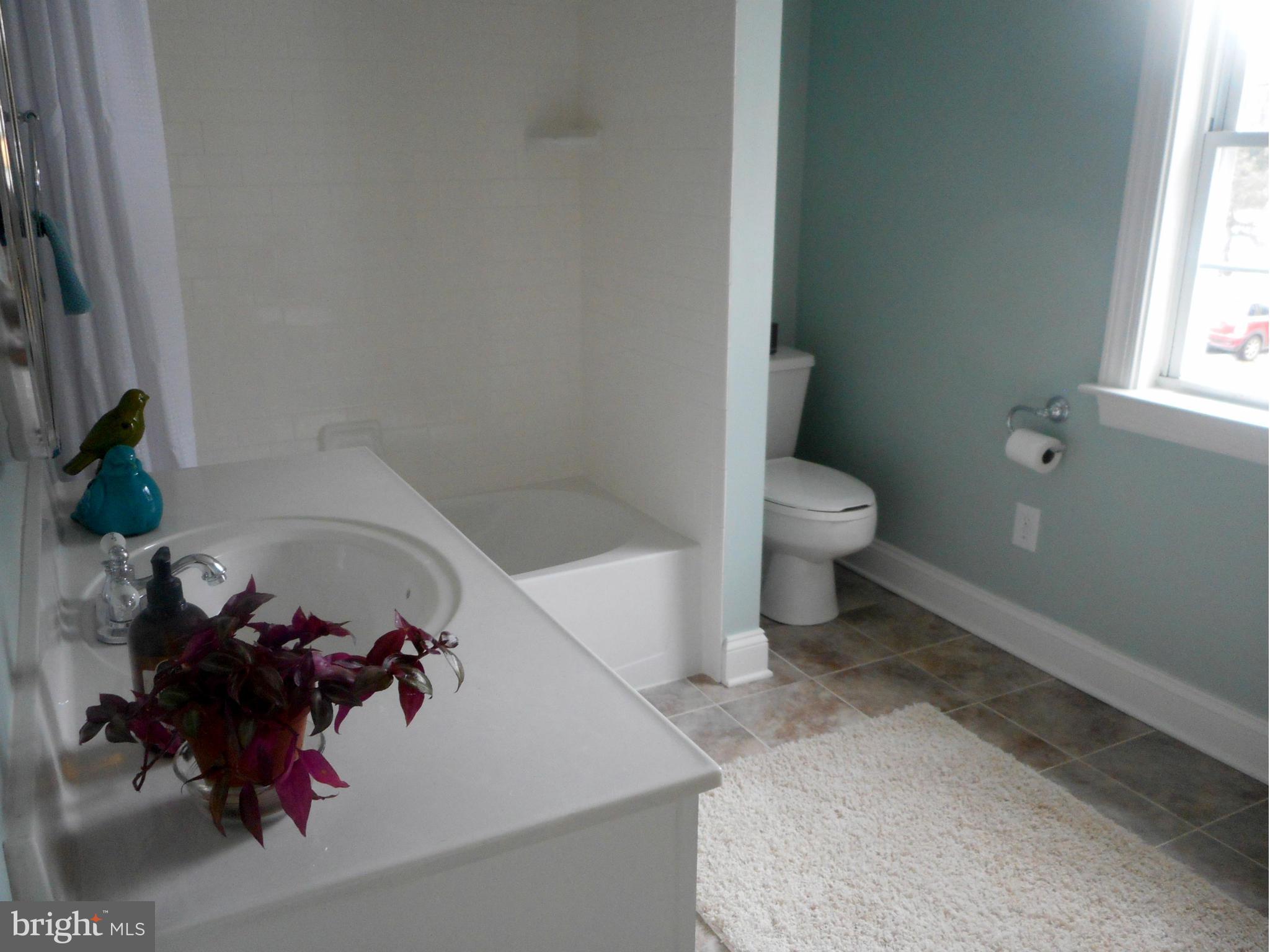 156 Quarry Road Berryville, VA 22611 - Photo 28 of 30 Bath
