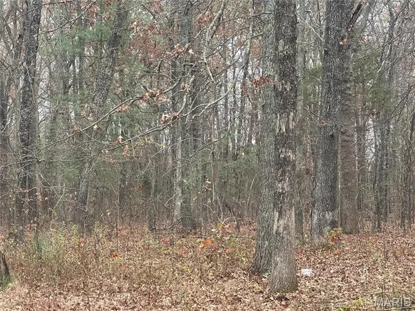 $140,000 | 18602 N Highway, Middle Brook, MO 63656