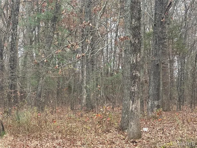 $140,000 | 18602 N Highway, Middle Brook, MO 63656