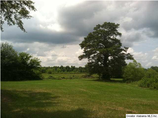 Browning Road, Unit 78 Odenville, AL 35120 - Photo 14 of 18