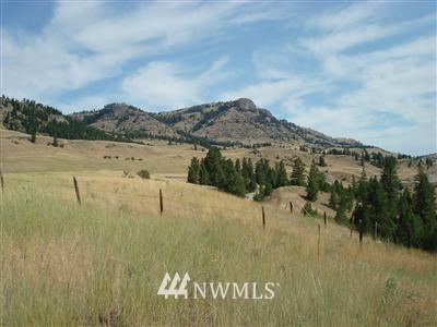 -lot 4 Starlight Road Republic, WA 99166 - Photo 1 of 1 Gallery Image 1