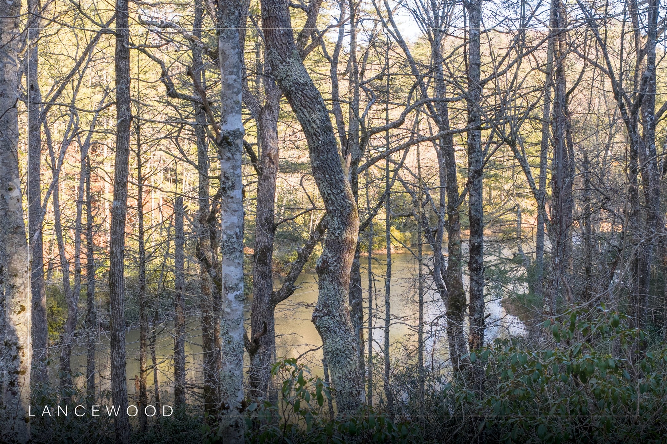 349 Lance Road Cashiers, NC 28717 - Photo 2 of 23 Gallery Image 2